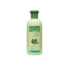 Subrina Recept, šampon proti mastnim lasem, 400 ml