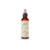 Bach, kapljice št. 26 - Rock rose (popon), 20 ml 
