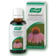 Echinaforce peroralne kapljice, raztopina, 100 ml