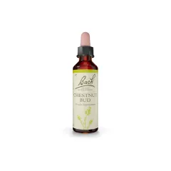Bach, kapljice št. 7 - Chestnut bud (kostanjev popek), 20 ml