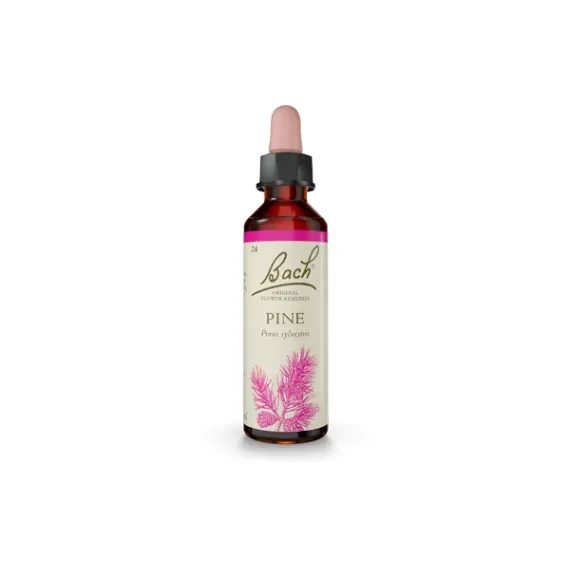 Bach, kapljice št. 24 - Pine (bor), 20 ml