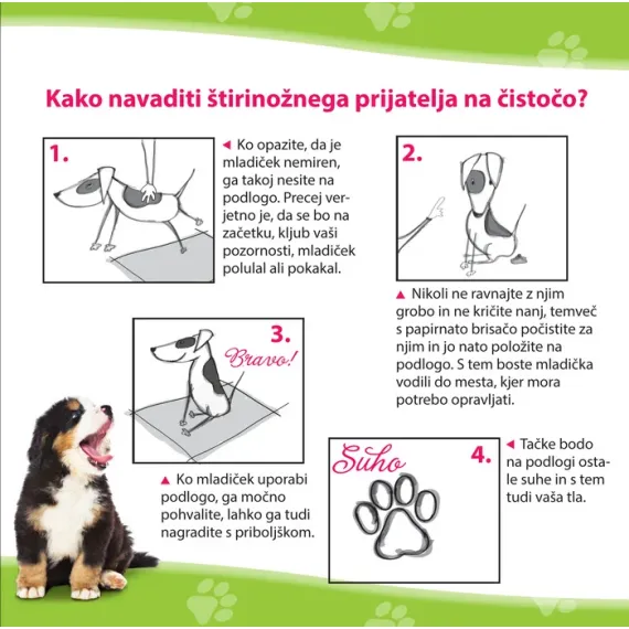 PikaZoo podloga za velike hišne ljubljenčke, velikost L, 60 x 90 cm, 30 podlog